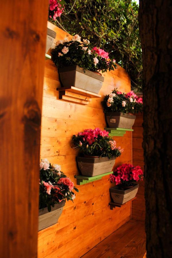 Bed and Breakfast La Casa Di Nonno Giulio Порто-Сант'Эльпидио Экстерьер фото